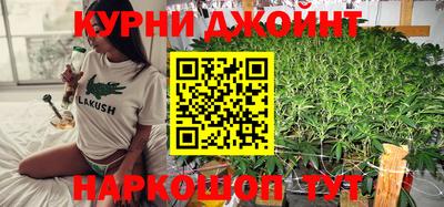 гидра Анжеро-Судженск