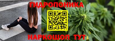 гидра Анжеро-Судженск
