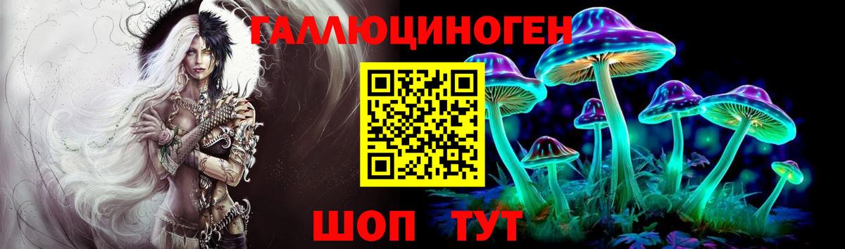 Псилоцибиновые грибы Psilocybe  Вход с VPN  Шуя 